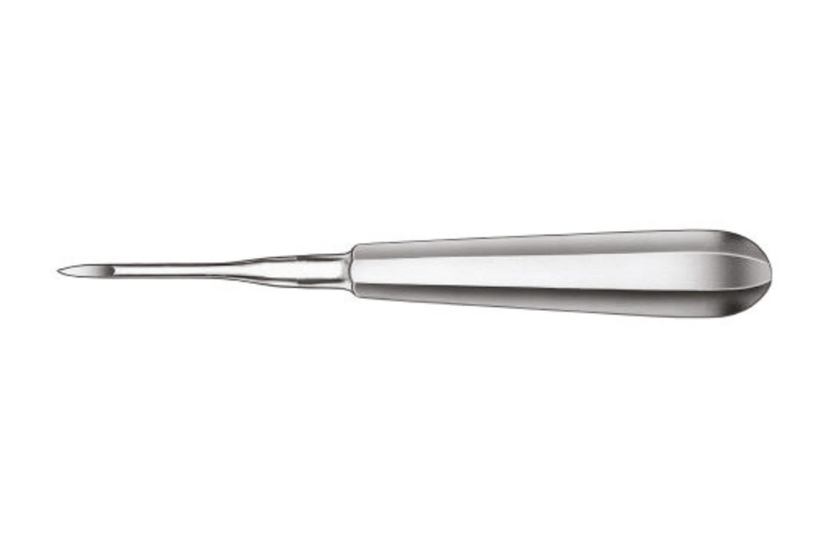 Carl Martin Heidbrink Root Elevatör 580